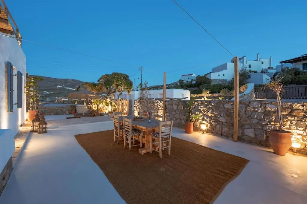 Villa Palm Beach Jacuzzi 200M From Beach Ftelia   Ftelia (Mykonos)