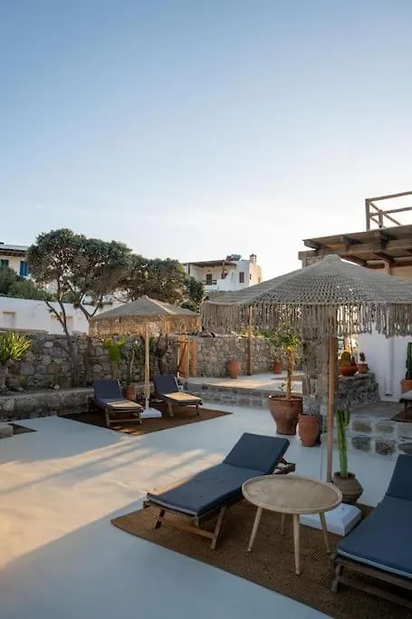 Villa Palm Beach Jacuzzi 200M From Beach Ftelia  Ftelia (Mykonos)